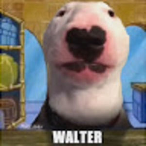 Meet your Posher, Hdog